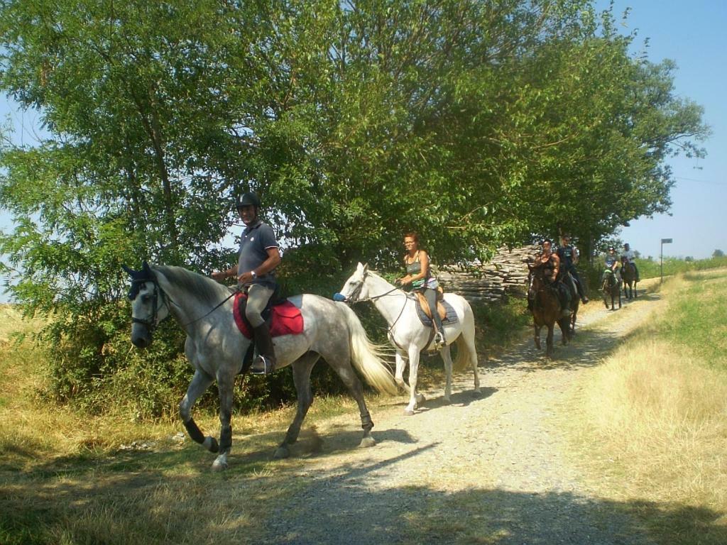 Casa Guatelli Guest House Spineto Scrivia Εξωτερικό φωτογραφία
